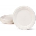 ASSIETTE RONDE 18CM 25PC CANNE A SUCRE BLANC